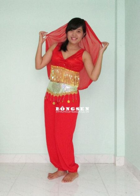 Trang phục Ấn Độ (múa bụng, Belly Dance) 02
